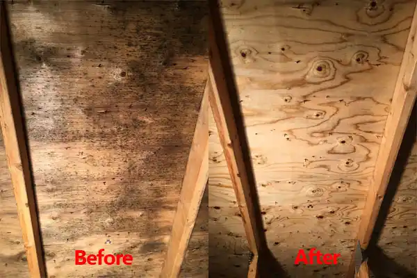 water damage restoration service Grant City